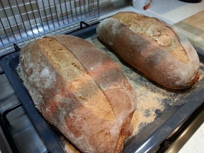 20141221_221934 (800x600)