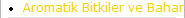 Aromatik Bitkiler ve Baharatlar